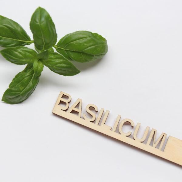 Plantensteker basilicum